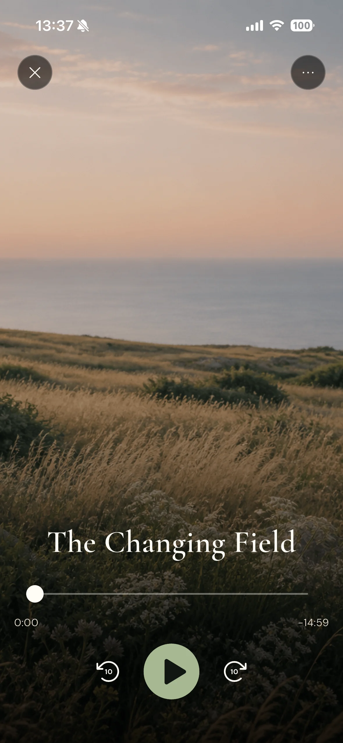 Nella guided meditation player showing The Changing Field practice